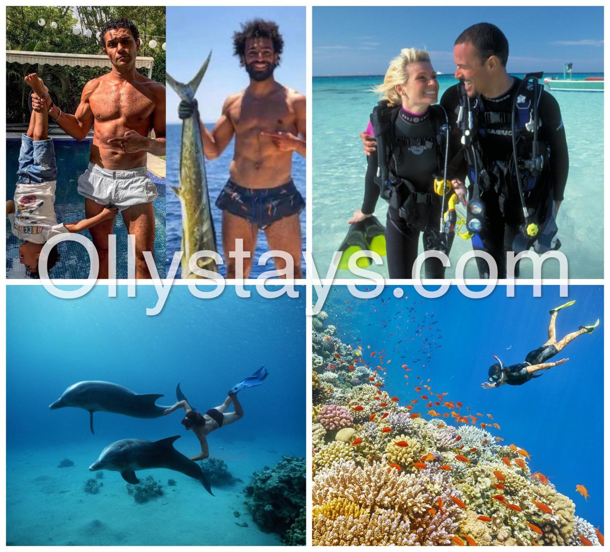 Ollystays Mangroovy Seaview 1Br Beach And Pool Free Access Hurghada Exteriör bild
